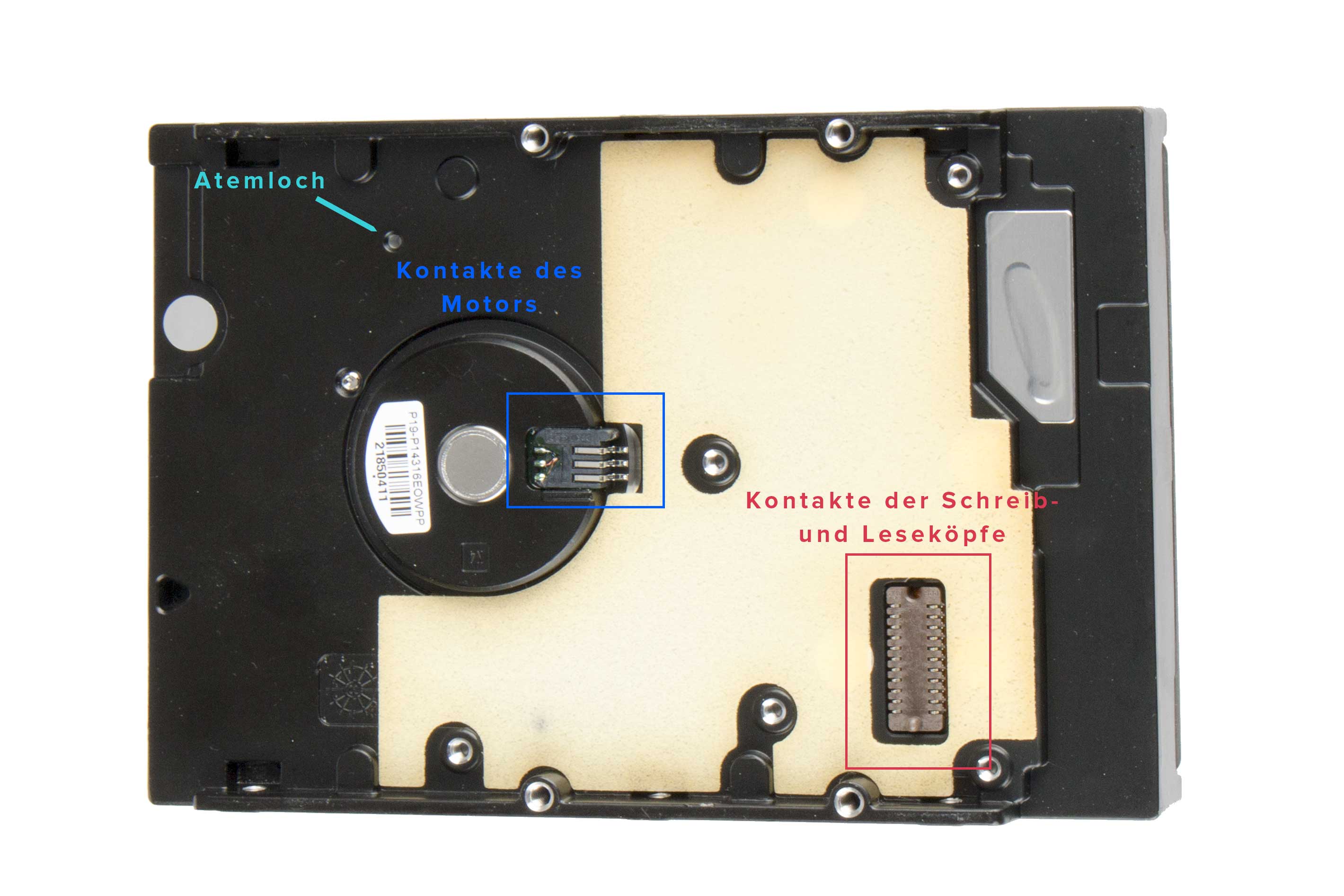 Computer festplatte hdd datenspeicherlaufwerk ohne abschirmabdeckung zeigen magnetische  platte und elektronische schaltung im inneren